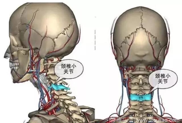 演示下颈椎正常曲度，请自觉对照诊断颈椎病