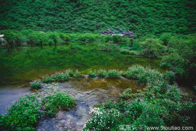 什么？夏天的养生秘诀居然是“花心”！