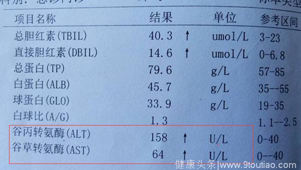 体检转氨酶158，被告知脂肪肝，没吃药只坚持3习惯，“肥肝”瘦了