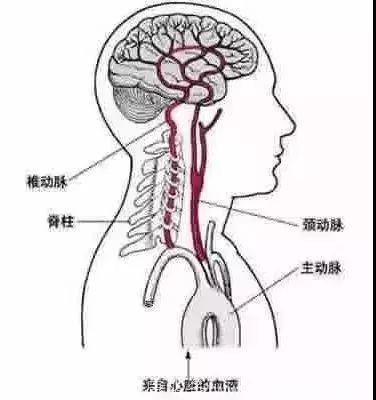 揪心！13厘米竹签插入两岁娃嘴里！做家长的千万要注意！