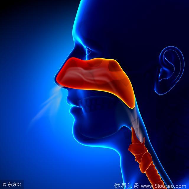 鼻子总是一侧不透气，是因为鼻炎吗，“鼻循环”了解一下