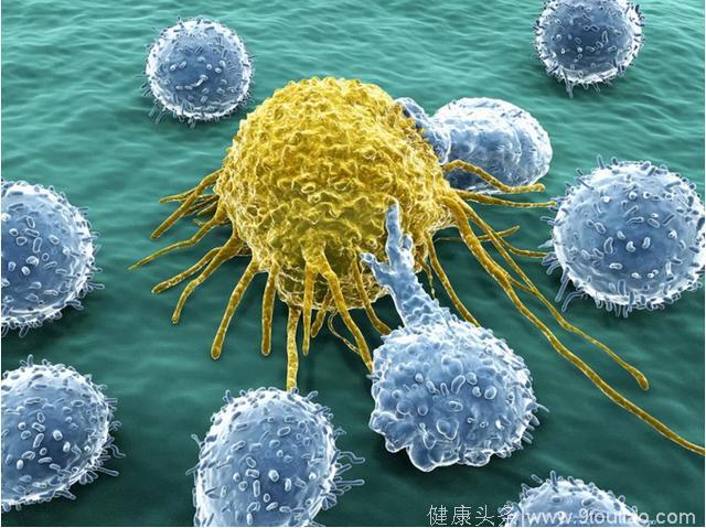 期待！这种免疫疗法能”吃掉“癌细胞，有望治疗多种恶性癌症