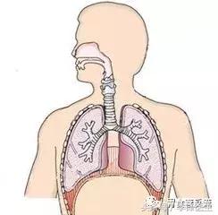 哮喘咽炎咳嗽久治不愈，医生说可能是食管反流引起的