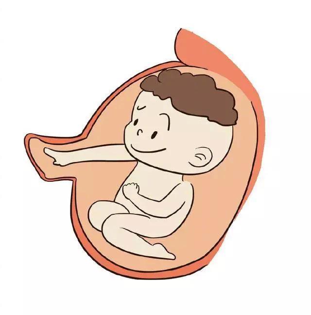 3个原因告诉你这个时间段胎宝胎动频繁并非异常，孕妈不必担心！