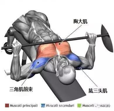 问答：练胸的时候，三头肌先没力，但胸肌没多少感觉怎么办