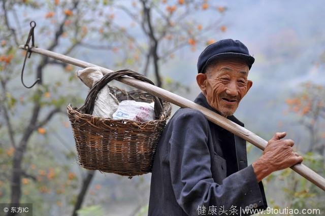 夏天干燥烦闷，记得多喝这5款养生解暑茶