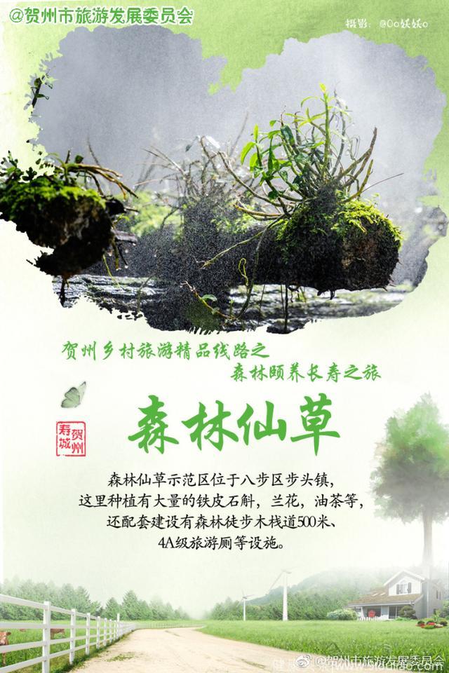 收藏｜这是一篇养生秘笈，带你开启长寿之旅