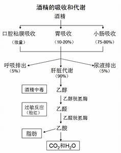 糖尿病竟然也分类？！医生建议这7类糖友千万别饮酒