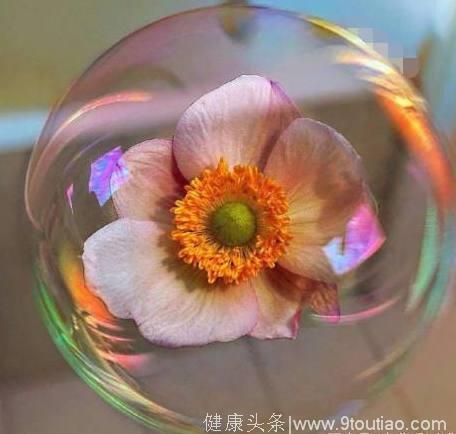 心理学：4个泡泡花，哪个最漂亮？测你性格上的缺陷是什么！