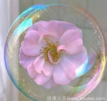 心理学：4个泡泡花，哪个最漂亮？测你性格上的缺陷是什么！