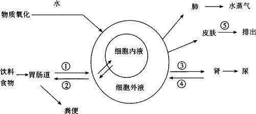 睡前2小时，养生黄金期你在干嘛？难怪活不好