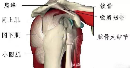 如何判定自己是否得了肩周炎，原来让你难受的不是肩周炎