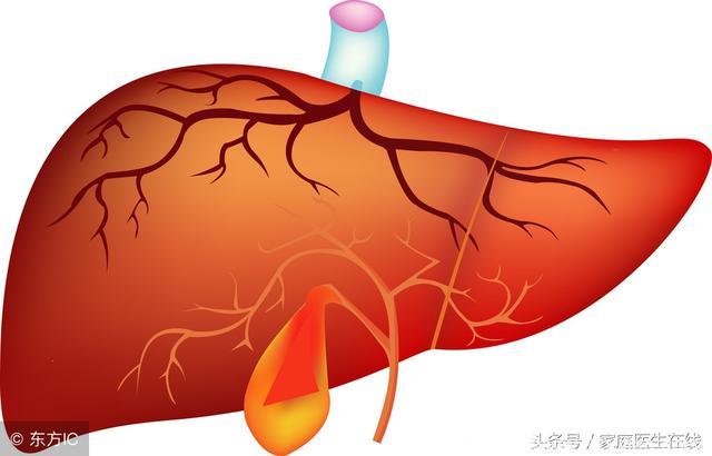 有了肝病不能吃鸡蛋？只要注意这4点，照样可以吃