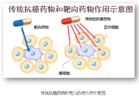 急性白血病国家 1 类创新靶向药物获得临床批件