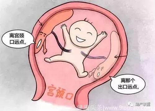 怀孕时，胎盘的前壁和后壁有什么不一样？