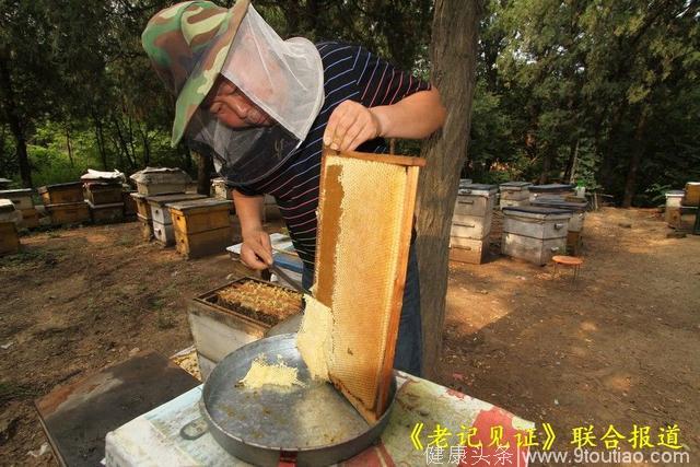 嵩山养蜂人“蜂疗”二十多年 救了近千“绝症”不收一分钱