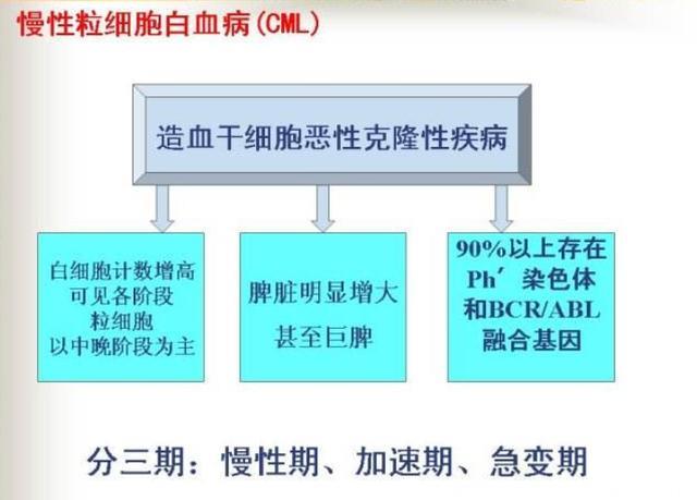 误会大了！慢粒白血病患者不请“药神”其实也有救？