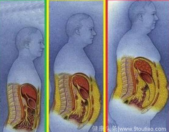 腹部脂肪危害有多大？