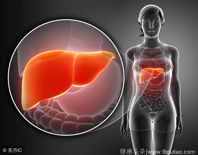警惕：脂肪肝的5个潜在危害