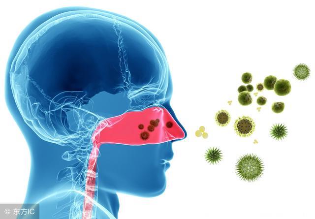 鼻炎，4个因素是“罪魁祸首”，不妨常喝一种茶，呼吸顺畅每一天