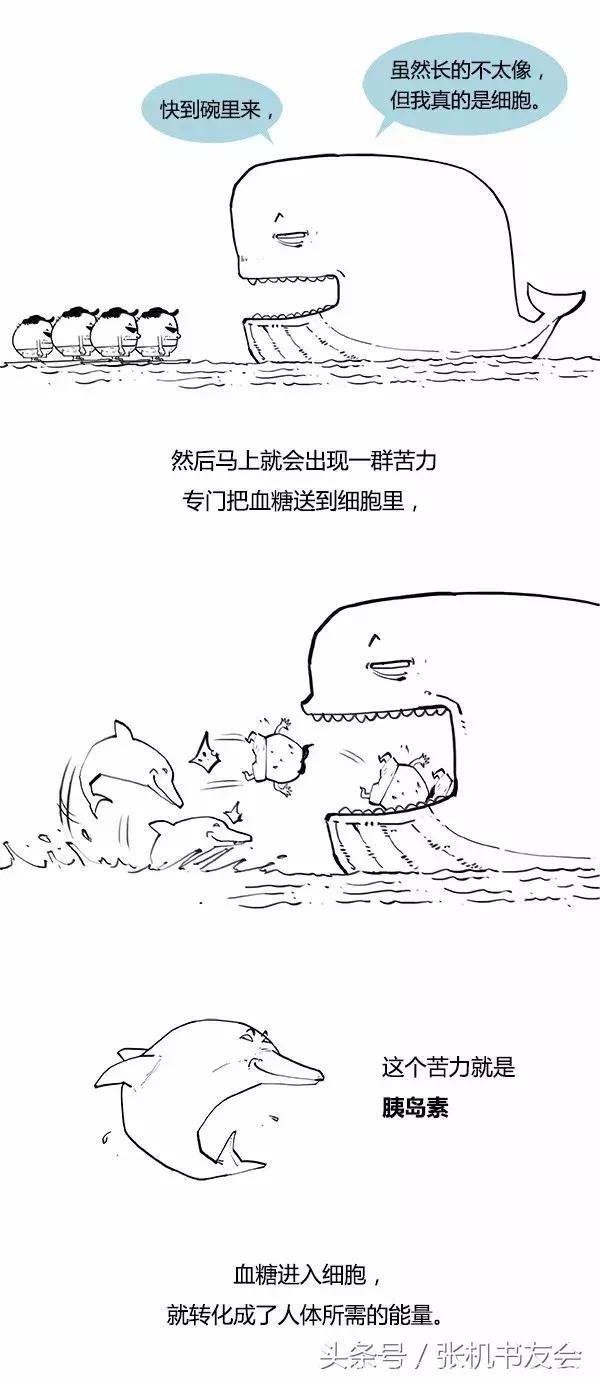 糖尿病是怎么来的？通俗易懂漫画版