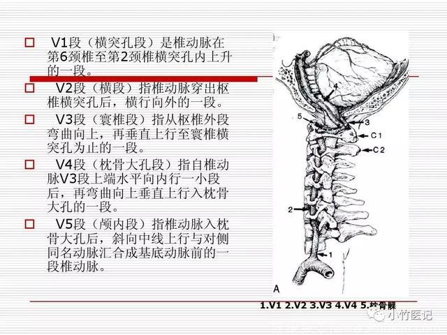 医生，我“颈椎病”，总发眩晕症！