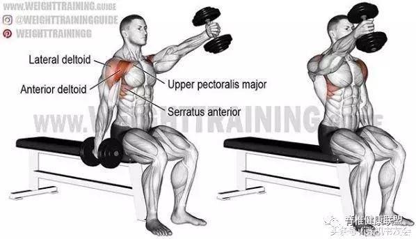 3D肌肉锻炼部位图