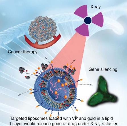 癌症新靶向疗法：化疗药物被包裹在“纳米气泡” 并通过X射线按需释放