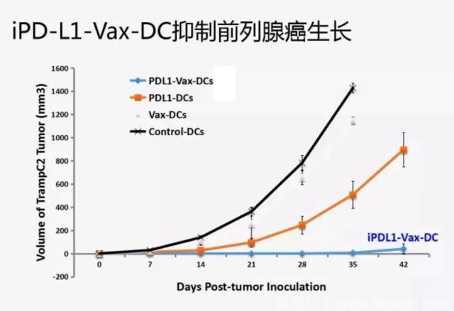告别肿瘤成为可能！抗PD-L1强效肿瘤疫苗登陆中国
