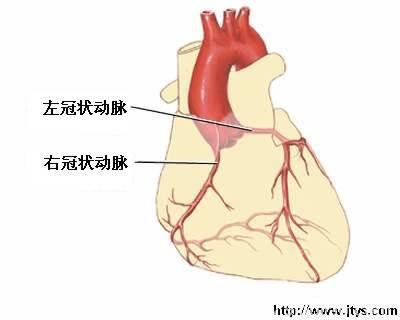 冠心病与心脏康复的这些知识你知道吗？