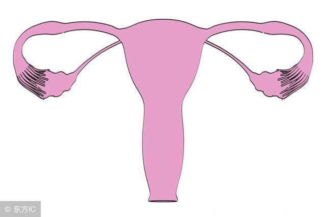 子宫、卵巢保养没做好，女人老得早！关于卵巢的5个知识你要懂