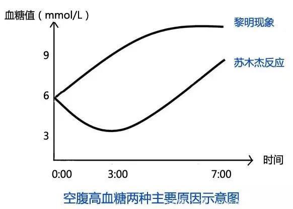 糖尿病患者的两种不同反应，苏木杰现象和黎明现象