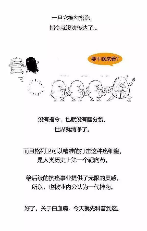 《我不是药神》│慢粒白血病是怎么回事？