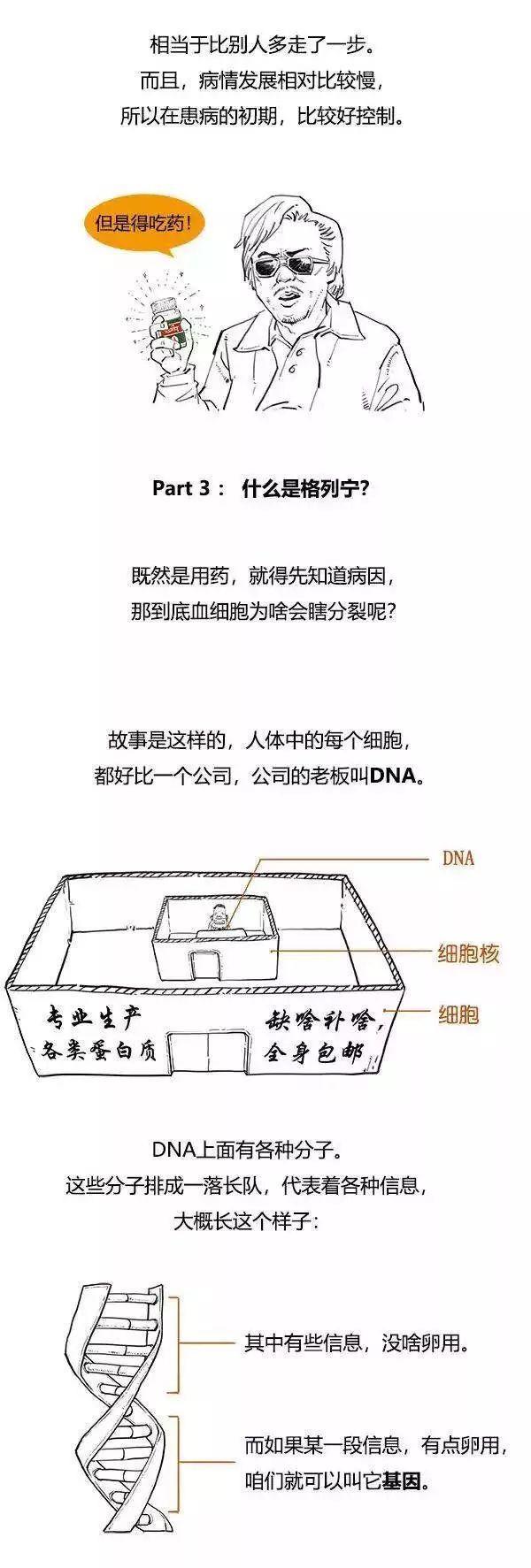 《我不是药神》│慢粒白血病是怎么回事？