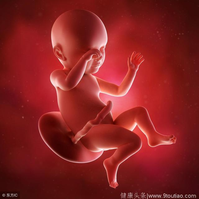 怀孕4次的惨痛教训告诉我：胎动出现这种状况，尽快去医院！