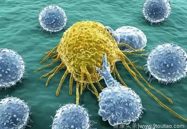 癌症和肿瘤的区别，怎么预防癌症