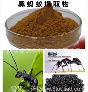 200元一斤的蚂蚁能治类风湿关节炎？扒一扒这个“玄乎”的土方