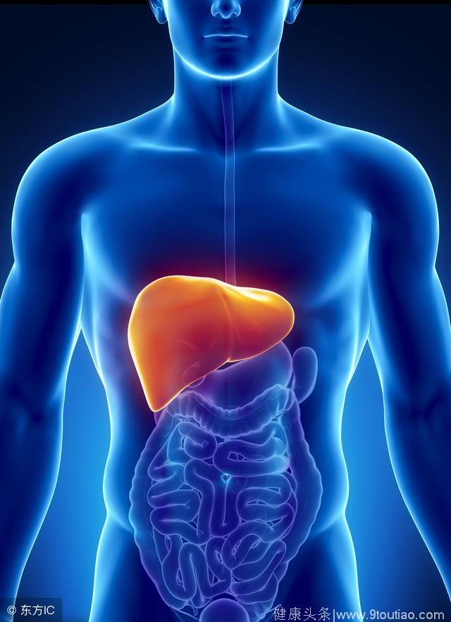肝脏受损的人，晨起有3个表现，若都很好，说明我们的肝脏很健康
