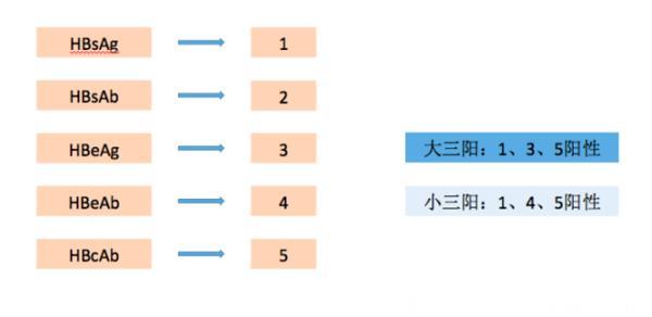 乙肝大三阳与小三阳区别