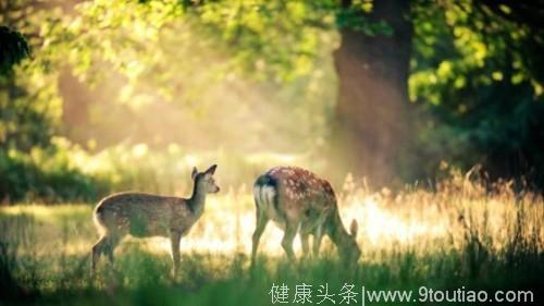 治愈抑郁症地过程中，这7件事照着去做，一定可以康复！