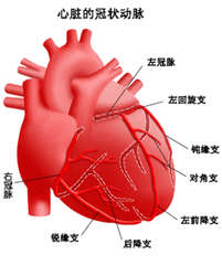 钙拮抗剂，既降高血压，又抗心绞痛