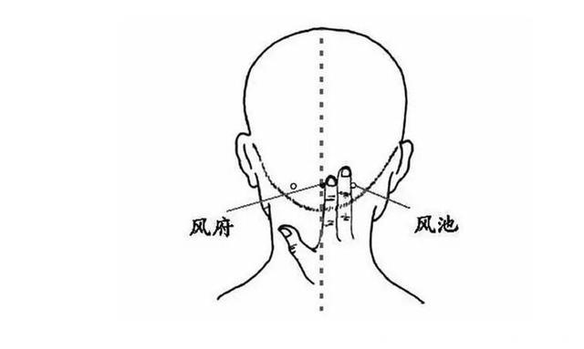 《本草纲目》中简单易行的穴位刺激法，分享给大家！