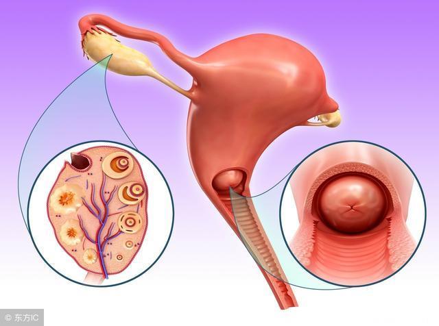 子宫肥大的危害你了解吗？警惕子宫肥大的3大危害