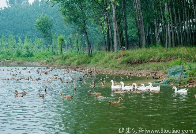 心理测试：河，小溪，海，你更喜欢哪个，测你会不会被人一见钟情