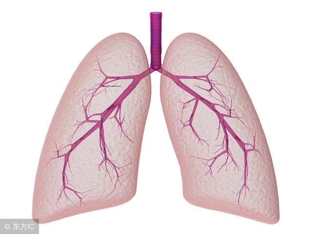 感冒引起肺感染虽然很常见，但千万不能视而不见