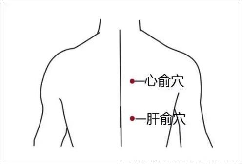 三伏贴别贴错！这些穴位要找准！