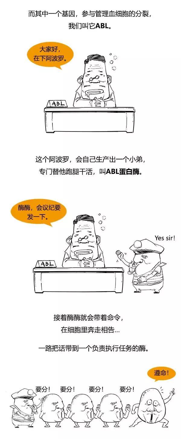 一分钟读懂：漫画白血病