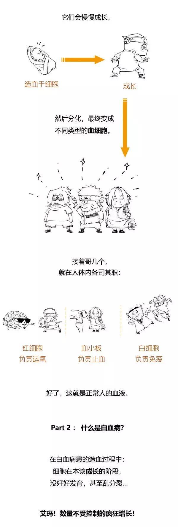 一分钟读懂：漫画白血病