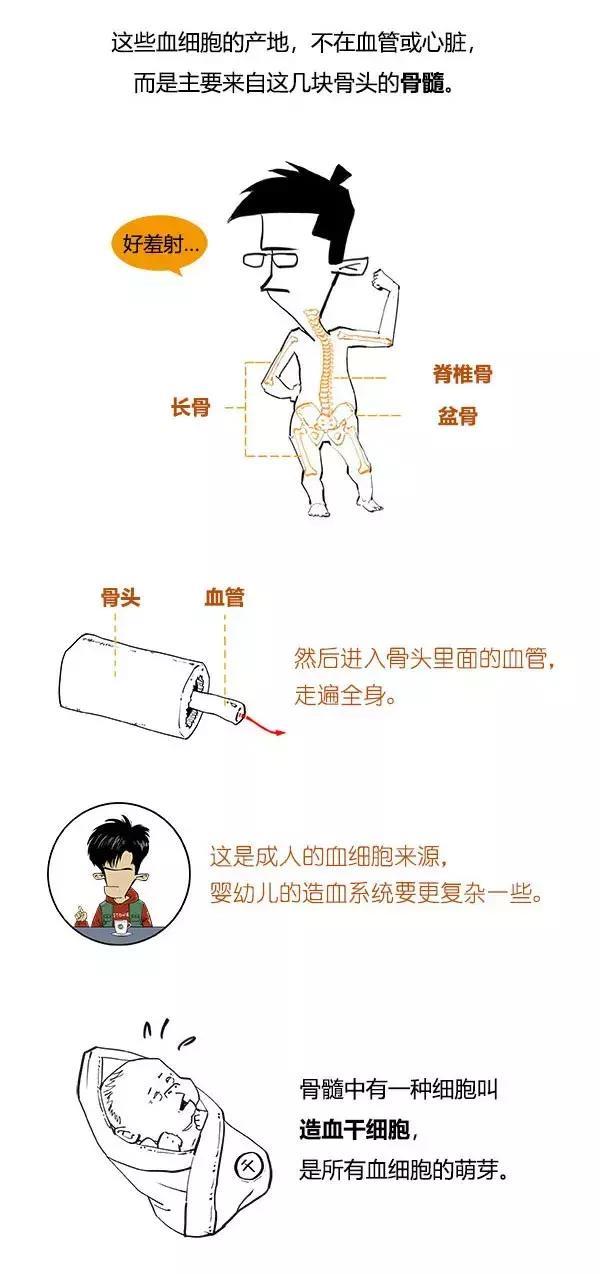 一分钟读懂：漫画白血病