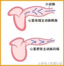 高血压患者血压过低怎么办？